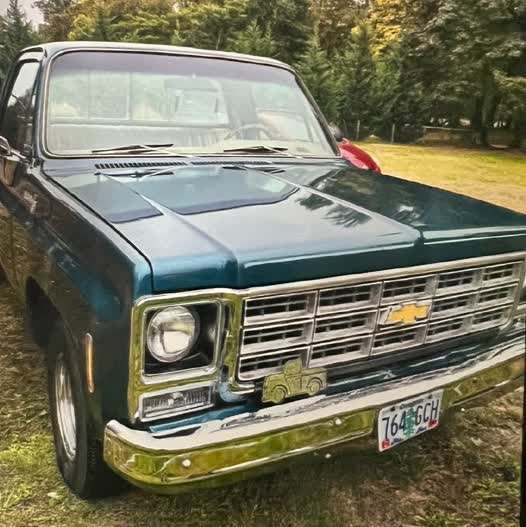 1979 Chevrolet Scottsdale Short Bed