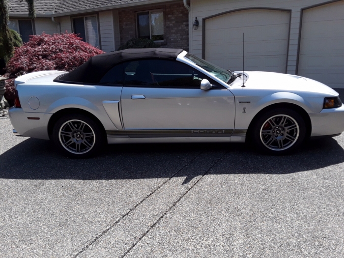 2003 Ford Mustang Cobra Convertible (10 Year Anniversary)