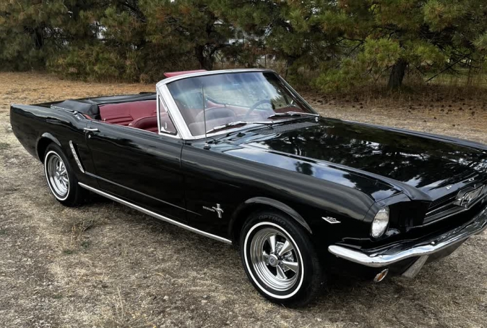 1964 1/2 Ford Mustang Convertible