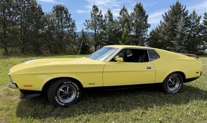 1971 Ford Mustang Sports Roof